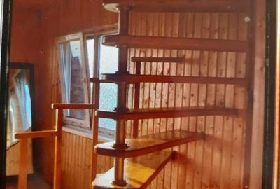 Casă cu Teren 2000 Mp în Paltin - 3