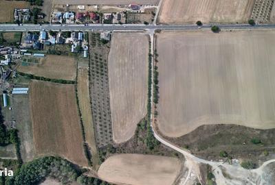 Teren de 9654 mp, în Dobra - 1