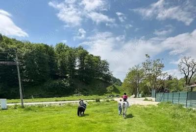 Teren de 800 mp, în Costești - 10
