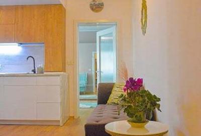 De inchiriat Apartament 49 mp. zona Mures-Miloia - 8