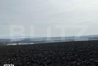 Teren de 15000 mp, în Sântuhalm - 4