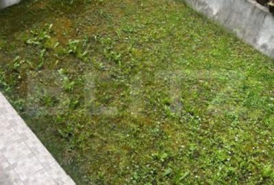 Casă cu 5 camere cu Teren 300 Mp în Bună Ziua - 5