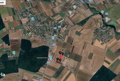 Teren de 62812 mp, în Dascălu - 1