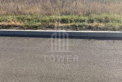 TEREN INTRAVILAN - ZONA INDUSTRIALA VEST-9000 mp, sau 18000 mp - 4