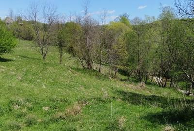 Spațiu comercial, în Golești - 8