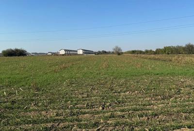 Teren Construcții intravilan de 20000 mp, în Est - 2