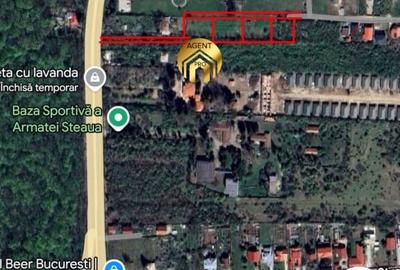 4 X Loturi Teren Intravilan in Saftica - Balotesti |  100m de DN1 - 6
