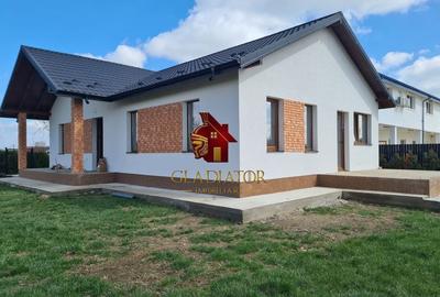 Casa plan parter deosebita, Lunca Cetatuii Ciurea, la asfalt, zona vis - 2