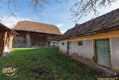 FILM! Casa si anexe, pe domeniu de 6.221mp, livada pomi fructiferi, Lemnia, Covasna - 2