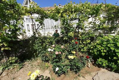 Duplex cu 4 camere cu Canalizare în Central - 2