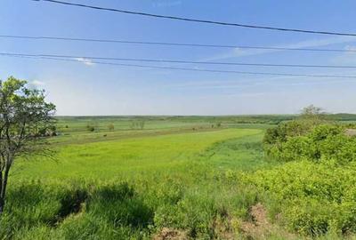 Spațiu comercial, în Bobeanu - 1