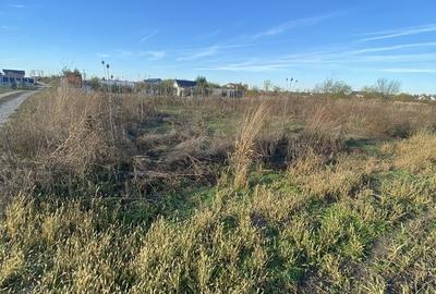 Domnesti, padurea Teghes - 7