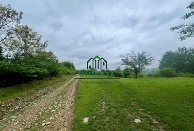 Teren 3507 mp/ Seaca/Calimanesti - 6