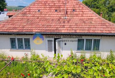 Casa traditionala Bodesti - 1