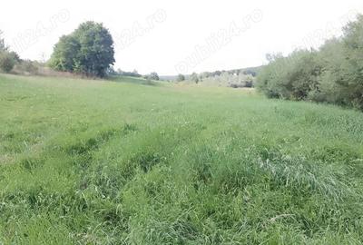 Teren de 4400 mp, în Mitocu Dragomirnei - 1