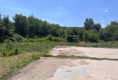 Investitie de viitor! Teren intravilan 8554 mp-Bucovat - 7