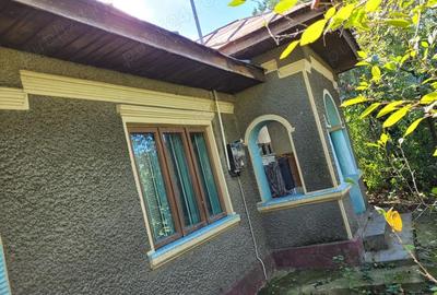 Casă cu 3 camere în Dridu - 2