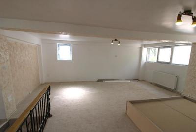 Spatiu comercial in I C Frimu - 6