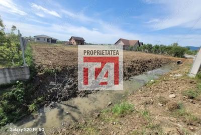 Teren de 1312 mp, în Cătălina - 4
