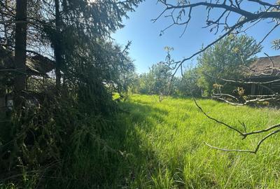 Casa Individuala Ozun Covasna teren 3200 mp - 1