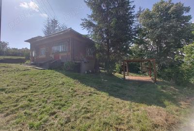 Casa batraneasca cu teren in sat Schitu Scoicesti, com Leordeni, Arge? - 4