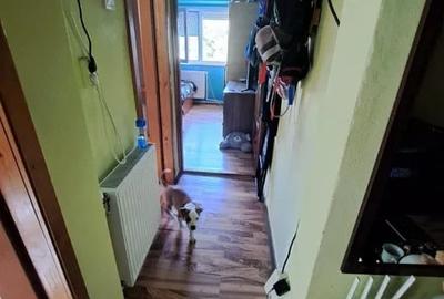 Apartament 2 camere decomandat, zona Garii, etaj 3. - 3