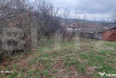 Teren în Schiulești - 8