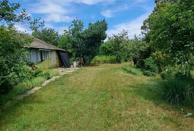 Teren de 2380 mp, în Gurbănești - 1