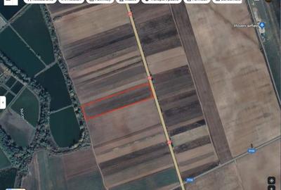 Teren de 8016 mp, în Nucet - 3