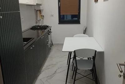 Apartament cu 2 camere decomandat, mobilat în Gorjului - 4