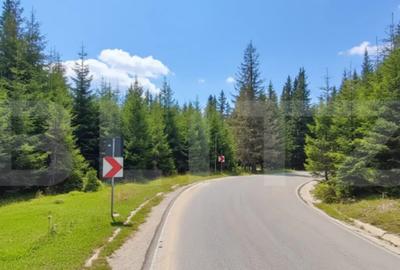 Teren de 1000 mp, în Central