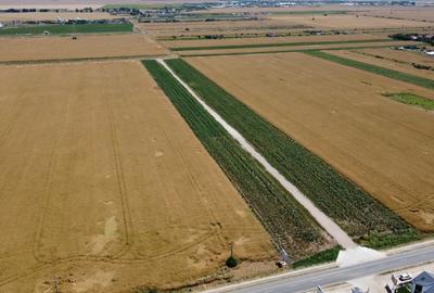 Teren Intravilan In Rate Comuna Berceni | utilitati: curent si gaz | #MG10 Teren Intravilan In Rate Comuna Berceni | utilitati: curent si gaz | #MG10 - 7