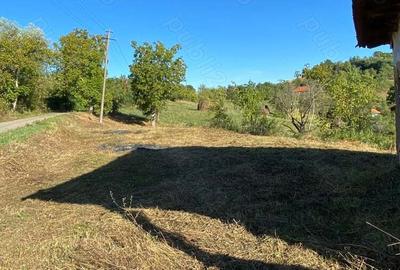 Casa + teren Certeju de Jos, Comuna Vorta ( Hunedoara) - 5