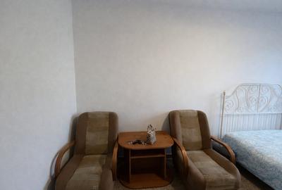 Garsoniera Calea Lipovei - 4