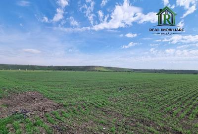 Spațiu comercial, în Mărăcineni - 1