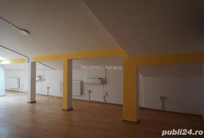 Vila zona Victoriei Vila zona Victoriei - 2