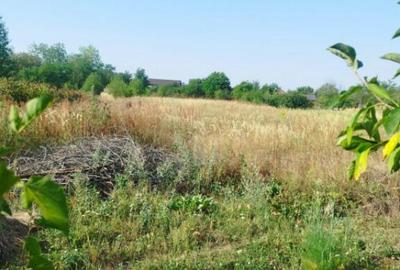 Teren intravilan situat pe strada Varful Mandra, - 1