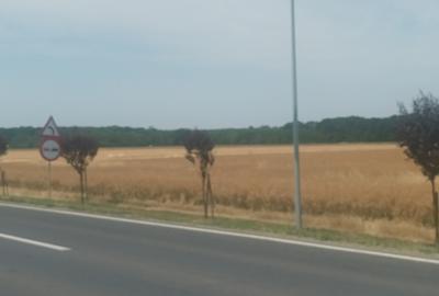 Teren Vanzare Intravilan Branesti - Investitie Zona Industriala Vis a Vis Makita - 23