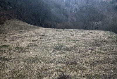 Teren de 2700 mp, în Exterior Vest - 2