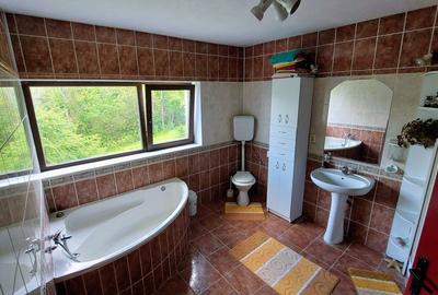 Vila de vanzare 300 mp utili + teren 2325 mp in satul Gheorghieni - 11