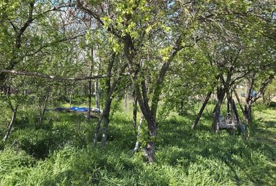 Teren agricol intravilan de 2050 mp, în Valea Măcrișului - 10