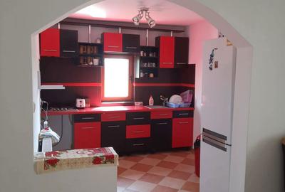 Casă cu 5 camere cu Teren 4000 Mp în Timișești - 3