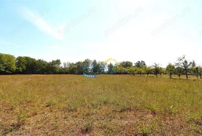 Teren intravilan de vanzare Banesti, Prahova - 3