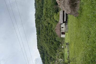 Vand casa ?i teren in Munteni, comuna Bulz, cu ie?ire la DJ - 5