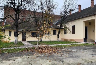 Vand casa Faget Vand casa Faget - 4