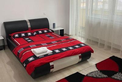 Garsonieră decomandată în Lăpuș Argeș - 4