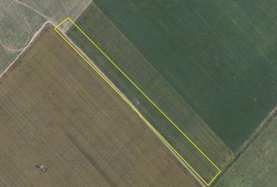 Teren de vanzare – 25.000 mp, Pantelimon, intre cele doua centuri ale Capitalei - 1