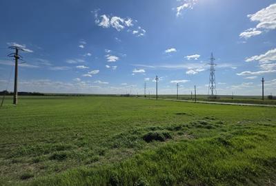 Teren Construcții intravilan de 13700 mp, în Istria - 3
