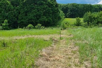 Spațiu comercial, în Hințești - 4