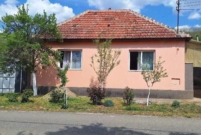 Casă cu Teren 2000 Mp în Vintere - 2